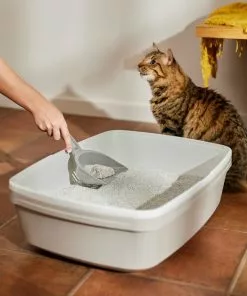 Frisco Multi-Cat Unscented Clumping Clay Cat Litter -The Frisco Store 103790 PT4. SY630 V1659023572