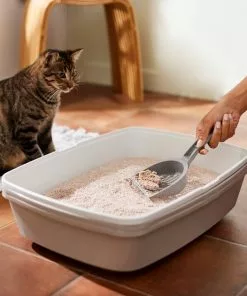 Frisco Natural Unscented Clumping Grass Cat Litter -The Frisco Store 132396 PT4. SY630 V1659023512