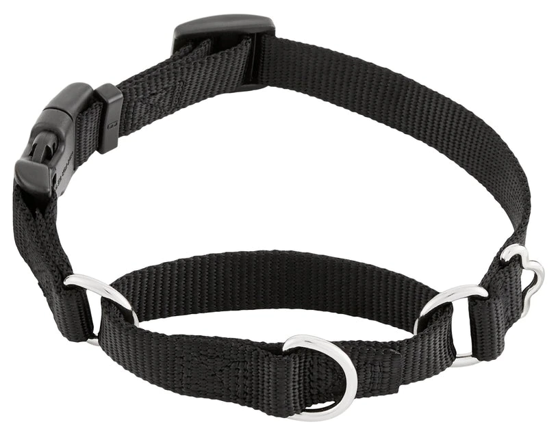Frisco Solid Nylon Martingale Dog Collar with Buckle 3 Frisco Solid Nylon Martingale Dog Collar with Buckle