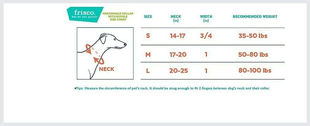 Frisco Solid Nylon Martingale Dog Collar with Buckle 4 Frisco Solid Nylon Martingale Dog Collar with Buckle - Image 2