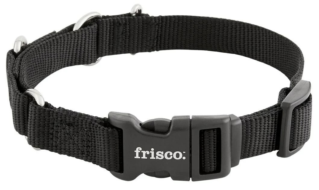 Frisco Solid Nylon Martingale Dog Collar with Buckle 6 Frisco Solid Nylon Martingale Dog Collar with Buckle - Image 4