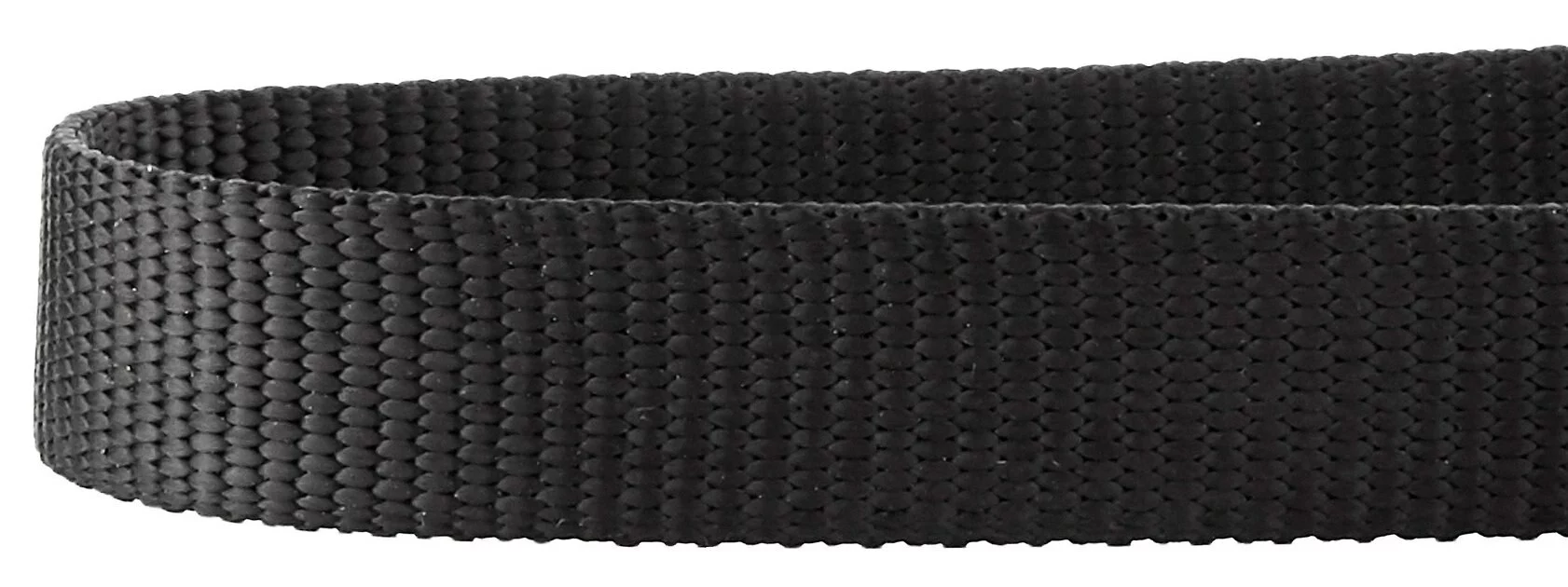 Frisco Solid Nylon Martingale Dog Collar with Buckle 8 Frisco Solid Nylon Martingale Dog Collar with Buckle - Image 6