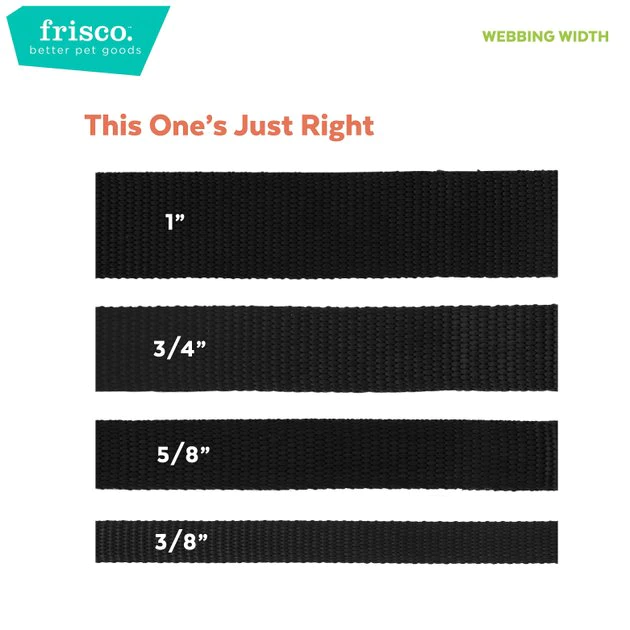 Frisco Solid Nylon Martingale Dog Collar with Buckle 9 Frisco Solid Nylon Martingale Dog Collar with Buckle - Image 7
