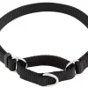Frisco Solid Nylon Slip-On Martingale Dog Collar 1 Frisco Solid Nylon Slip-On Martingale Dog Collar -The Frisco Store 139163 Main. SY630 V1582829023