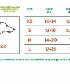 Frisco Solid Nylon Slip-On Martingale Dog Collar -The Frisco Store 139163 PT1. SY630 V1620070329