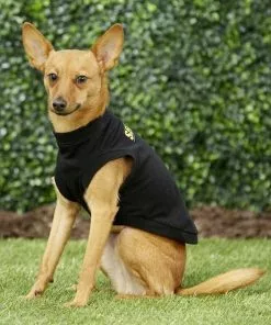 Frisco Security Dog & Cat T-Shirt 16 Frisco Security Dog & Cat T-Shirt -The Frisco Store 139500 PT6. SY630 V1624615676