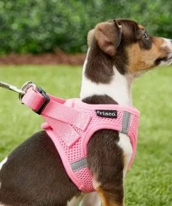 Frisco Small Breed Soft Vest Step In Back Clip Dog Harness -The Frisco Store 139821 PT5. SY630 V1561573781