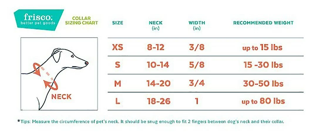 Frisco Patterned Nylon Dog Collar 4 Frisco Patterned Nylon Dog Collar - Image 2