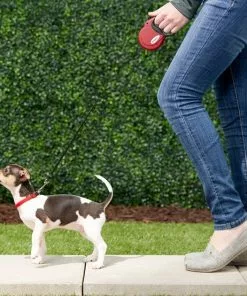 Frisco Nylon Tape Reflective Retractable Dog Leash 8 Frisco Nylon Tape Reflective Retractable Dog Leash -The Frisco Store 140896 PT1. SY630 V1524073683