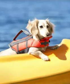 Frisco Ripstop Dog Life Jacket -The Frisco Store 140916 PT7. SY630 V1631063778
