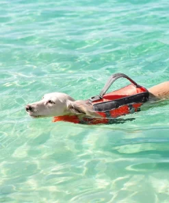 Frisco Ripstop Dog Life Jacket -The Frisco Store 140916 PT8. SY630 V1540476419