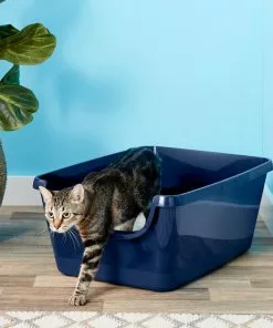 Frisco High Sided Cat Litter Box, Extra Large 24-in
