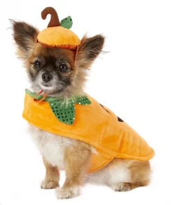Frisco Pumpkin Dog & Cat Costume -The Frisco Store 144441 PT2. SY630 V1625868143