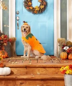 Frisco Pumpkin Dog & Cat Costume -The Frisco Store 144441 PT3. SY630 V1567175133