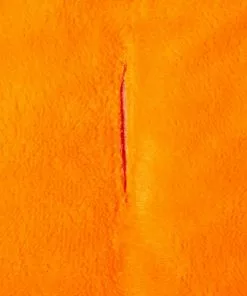 Frisco Pumpkin Dog & Cat Costume -The Frisco Store 144441 PT8. SY630 V1567182805