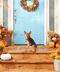 Frisco Vampire Cape Dog & Cat Costume 11 Frisco Vampire Cape Dog & Cat Costume -The Frisco Store 144487 PT3. SY630 V1567175264