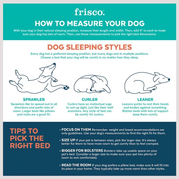 Frisco Square Deep Bolster Cat & Dog Bed 5 Frisco Square Deep Bolster Cat & Dog Bed - Image 3