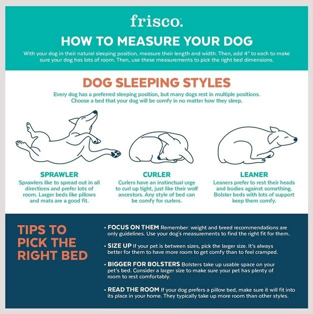 Frisco Plush Orthopedic Front Bolster Cat & Dog Bed w/Removable Cover 6 Frisco Plush Orthopedic Front Bolster Cat & Dog Bed w/Removable Cover - Image 4