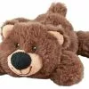 Frisco Plush Squeaking Bear Dog Toy 1 Frisco Plush Squeaking Bear Dog Toy -The Frisco Store 146979 Main. SY630 V1539205019