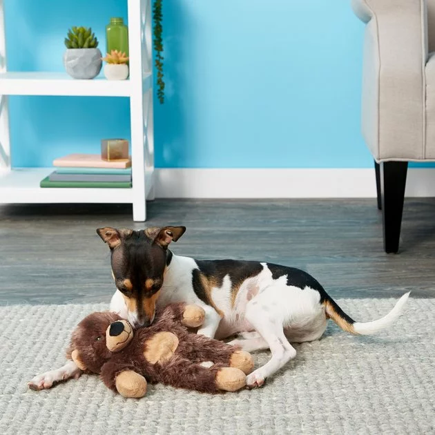 Frisco Plush with Inside Rope Squeaking Bear Dog Toy 4 Frisco Plush with Inside Rope Squeaking Bear Dog Toy - Image 2