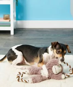 Frisco Plush with Rope Squeaking Monkey Dog Toy -The Frisco Store 147067 PT1. SY630 V1539286324