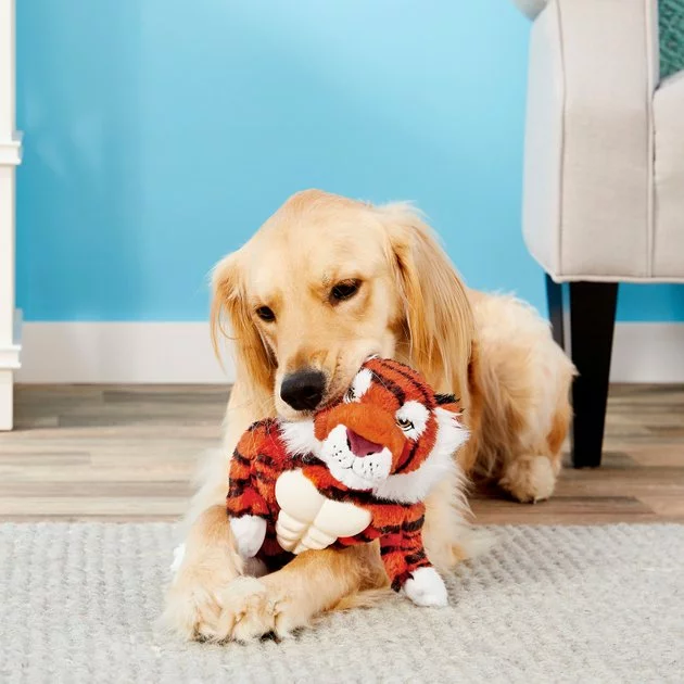 Frisco Muscle Plush Squeaking Tiger Dog Toy 4 Frisco Muscle Plush Squeaking Tiger Dog Toy - Image 2
