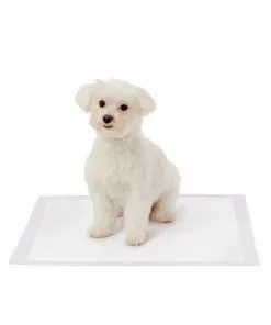 Frisco Dog Training Pads, 21 x 21-in, 100 count, Floral Scented 12 Frisco Dog Training Pads, 21 x 21-in, 100 count, Floral Scented -The Frisco Store 149818 PT3. SY630 V1624495686