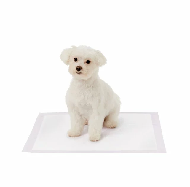 Frisco Dog Training Pads, 21 x 21-in, 100 count, Floral Scented 6 Frisco Dog Training Pads, 21 x 21-in, 100 count, Floral Scented - Image 4