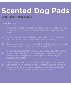 Frisco Dog Training Pads, 21 x 21-in, 100 count, Floral Scented 14 Frisco Dog Training Pads, 21 x 21-in, 100 count, Floral Scented -The Frisco Store 149818 PT5. SY630 V1624497465