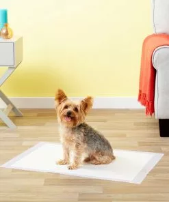 Frisco Dog Training Pads, 21 x 21-in, 100 count, Floral Scented 15 Frisco Dog Training Pads, 21 x 21-in, 100 count, Floral Scented -The Frisco Store 149818 PT6. SY630 V1624485161