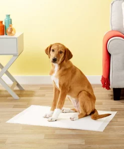 Frisco Dog Training Pads, 21 x 30-in, 30 count, Floral Scented 15 Frisco Dog Training Pads, 21 x 30-in, 30 count, Floral Scented -The Frisco Store 149820 PT6. SY630 V1624495383