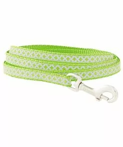Frisco Patterned Nylon Reflective Dog Leash -The Frisco Store 151035 PT2. SY630 V1587474164