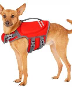 Frisco Neoprene Dog Life Jacket