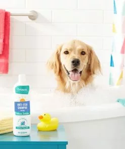 Frisco Anti-Itch Dog Shampoo with Aloe, Unscented 8 Frisco Anti-Itch Dog Shampoo with Aloe, Unscented -The Frisco Store 152577 PT2. SY630 V1551302907