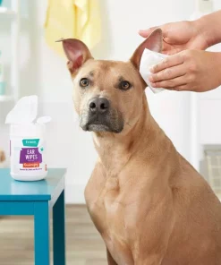 Frisco Deodorizing Ear Wipes with Aloe for Dogs & Puppies 12 Frisco Deodorizing Ear Wipes with Aloe for Dogs & Puppies -The Frisco Store 152583 PT4. SY630 V1551302935