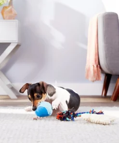 Frisco Hide & Seek Plush Chewy Box Puzzle Dog Toy Refills -The Frisco Store 152818 PT2. SY630 V1549654939