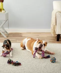 Frisco Rope Multipack for Small to Medium Dog Toys, 4 count -The Frisco Store 152838 PT2. SY630 V1549655022