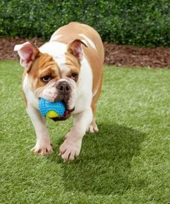 Frisco Tennis Ball with Rubber Sleeve, Medium -The Frisco Store 152844 PT3. SY630 V1549655064