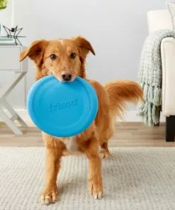Frisco Fetch Rubber Flyer Dog Toy 8 Frisco Fetch Rubber Flyer Dog Toy -The Frisco Store 152848 PT2. SY630 V1549655092