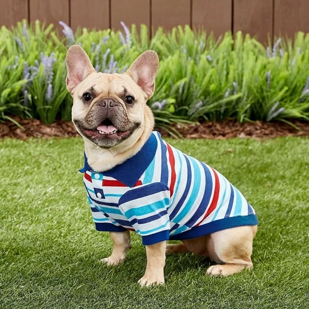 Frisco Striped Dog & Cat Polo Shirt, Red & Blue 9 Frisco Striped Dog & Cat Polo Shirt, Red & Blue - Image 7