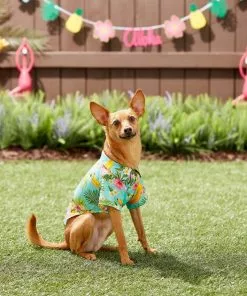 Frisco Pineapple Hawaiian Camp Dog & Cat Shirt 17 Frisco Pineapple Hawaiian Camp Dog & Cat Shirt -The Frisco Store 153596 PT7. SY630 V1644884316