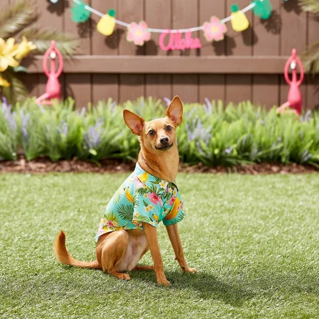 Frisco Pineapple Hawaiian Camp Dog & Cat Shirt 10 Frisco Pineapple Hawaiian Camp Dog & Cat Shirt - Image 8