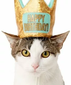 Frisco Happy Birthday Dog & Cat Crown -The Frisco Store 153665 PT2. SY630 V1551230979