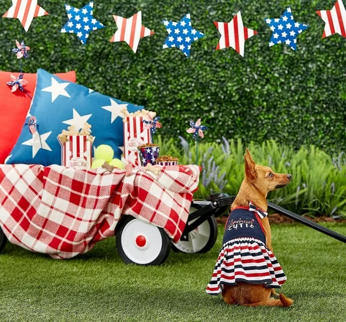 Frisco American Cutie Dog & Cat Sundress 7 Frisco American Cutie Dog & Cat Sundress - Image 5