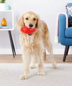 Frisco Squeaky Football Dog Toy -The Frisco Store 154412 PT2. SY630 V1560352780