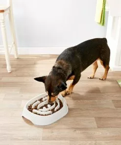 Frisco Non-Skid Slow Feeder Dog & Small Pet Bowl -The Frisco Store 155647 PT4. SY630 V1553538752