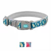 Frisco Patterned Neoprene Dog Collar -The Frisco Store 156845 Main. SY630 V1571282194