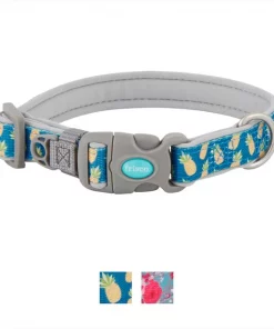 Frisco Patterned Neoprene Dog Collar