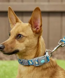 Frisco Patterned Neoprene Dog Leash -The Frisco Store 156857 PT1. SY630 V1568380338