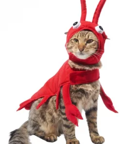 Frisco Red Lobster Dog & Cat Costume